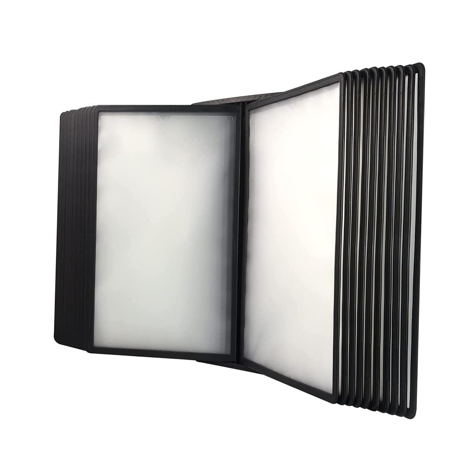 JYBNBBE Multi-Page folders, Black 20 Double-Sided Display Pockets, for Meeting Poster and Storage A4 Documents