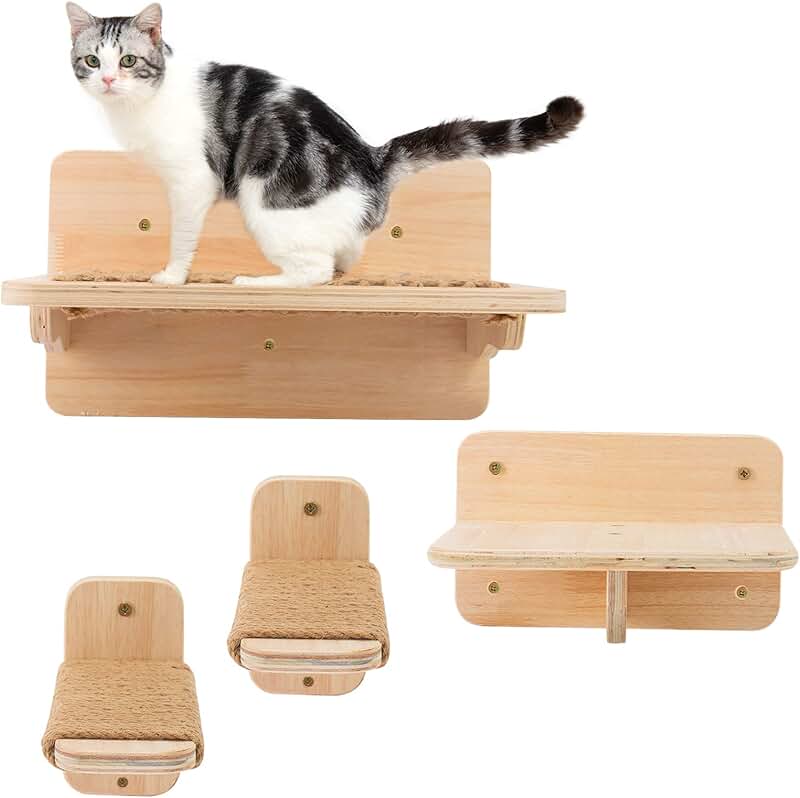 cat wall steps