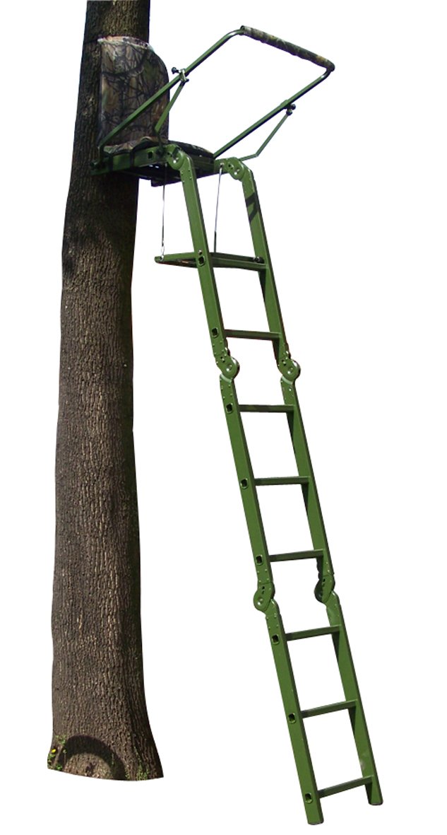 Berger & Schröter Scaletta Pieghevole, Verde,