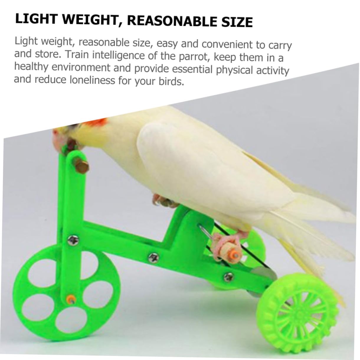 Beaupretty Anillo Loros 4 Juegos Bicicleta Loro Juguetes Educativos Xuan Feng El Plastico El Pájaro Juguetes Interactivos para Loros