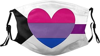 Demi Bisexual Bi Pride Flag Face Mask Washable Reusable Adults Breathable with 2 Filters Black