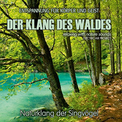 Electric Air Project