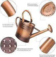 Vista 2 de Regadera de metal de 1 galón con boquilla extraíble, bonita lata de agua de acero galvanizado con diseño en relieve para plantas