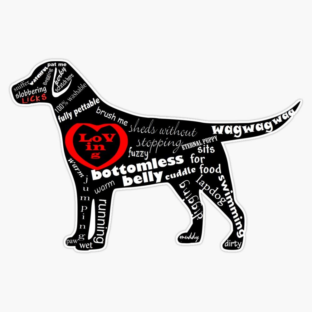 Labrador Retriever Anatomy Sticker - 5" Waterproof Vinyl Decal For Cars & Laptops