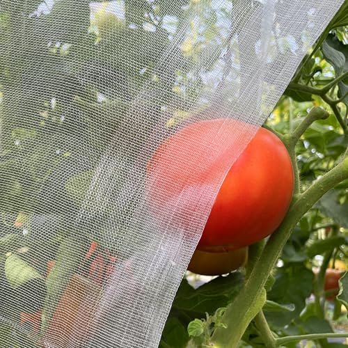 Garden Mesh Netting 10'x33' Plants Covers Ultra Fine Bug Cover Keep Trees Vegetables Fruits from Cicada Mosquito Netting for Patio Crops Flowers Protection Cicada Insect Net (White)