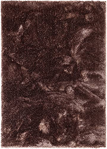 Image of Carpet for Living Room, 4x6 Feet Brown Solid Plain Modern Polyster Luster Shaggy Ultra Thick and Pluffy Soft Shag Area Rug for Your Bedroom, Kid Room, Office and Home