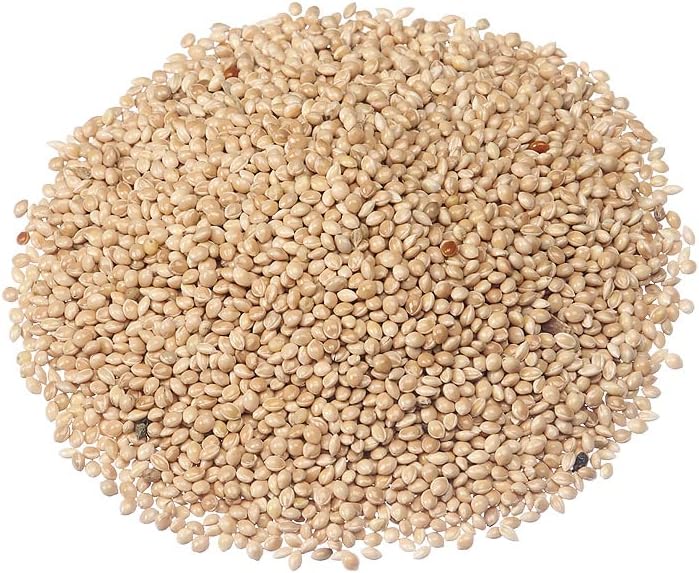White Millet Bird Seed (25 LB) - Our White Millet Seed Will Aid in Attracting Multiple Species of Birds and is a Highly Nutritious Bird Food.