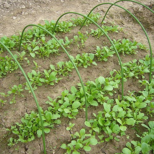 12 x Garten-Reifen, Gewächshaus-Reifen, langlebig, Pflanzentunnel-Unterstützung, Gewächshaus-Tunnel, Gartenarbeit, Pflanzrahmen für Garten (48 x 48 cm, 12 Stück)
