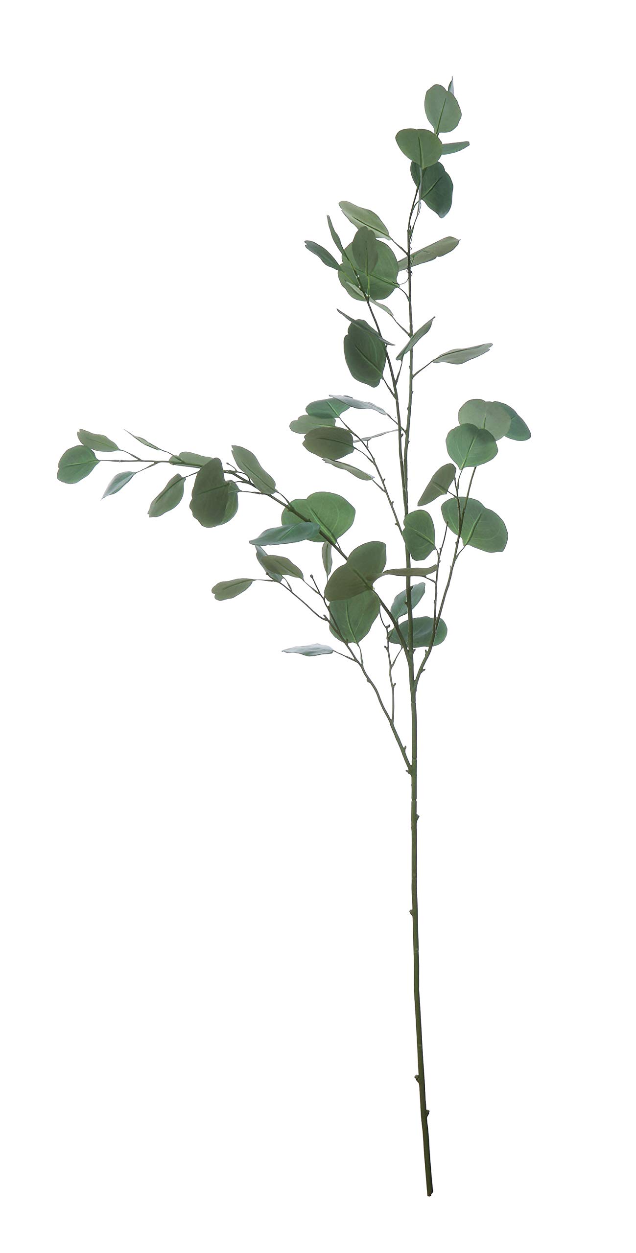 Creative Co-Op Eucalyptus Branch Faux Botanical, Green