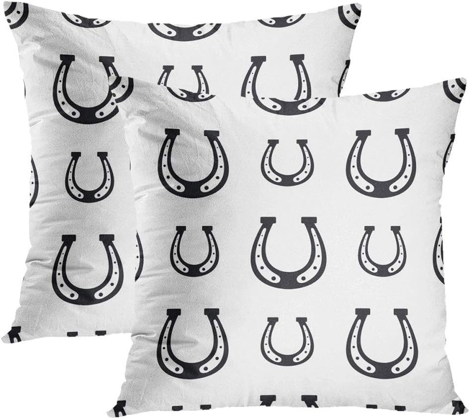 Nonbrand Set of 2 Throw Pillow Cover Home Decor Cushion