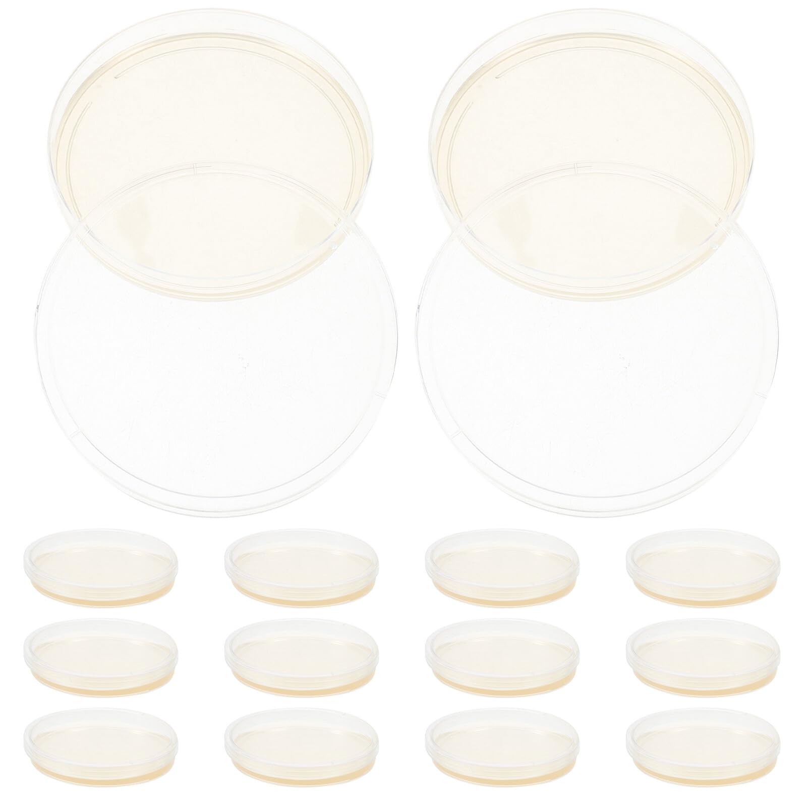 20 Placas de Petri Preparadas Agar Nutritivo Redondas de 9cm para Experimentos Científicos en Laboratorio Nutrición Consistente y Material Ps