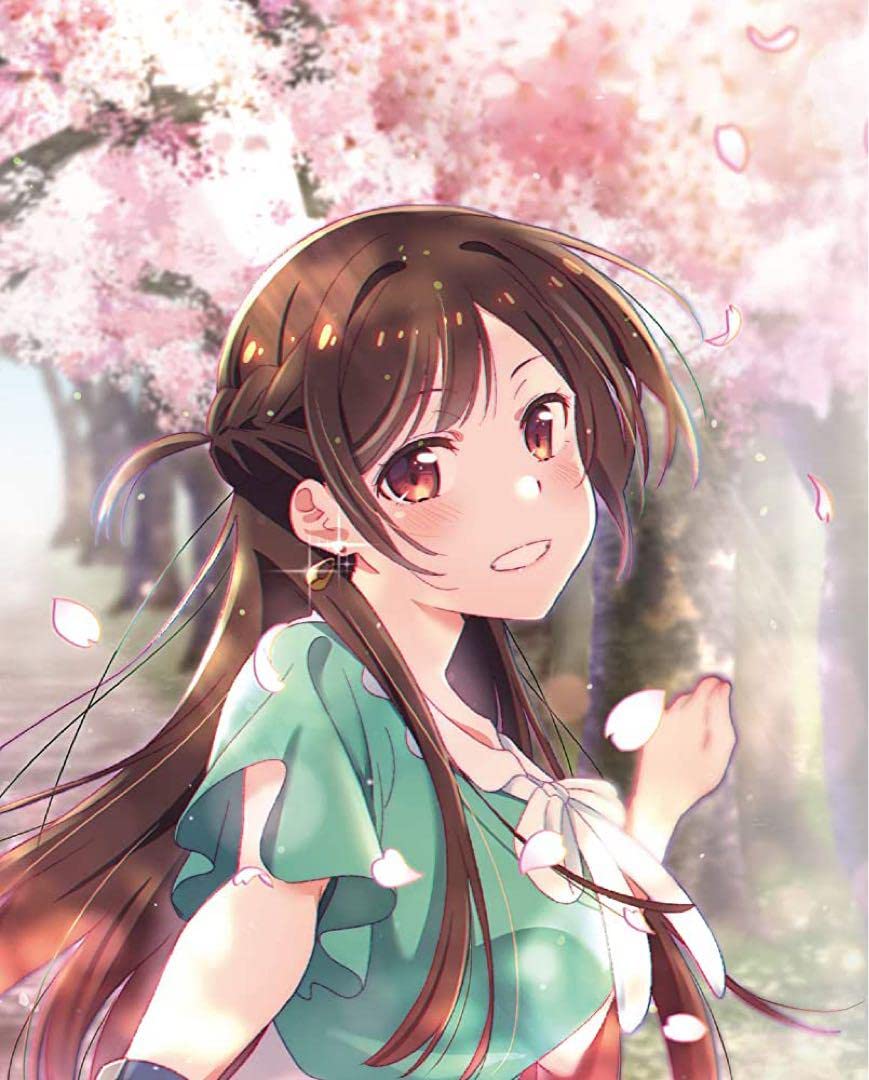Amazon.co.jp: 彼女お借りします一期ブルーレイ ゲーマーズ全巻 : おもちゃ