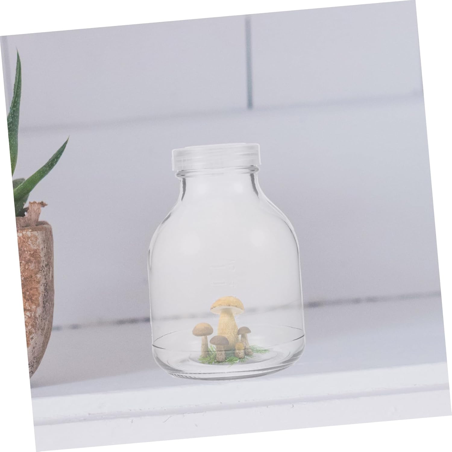 3pcs Mushroom Growth Jar with Air Permeable Lid Transparent Growing Bottle for Indoor Plants for Home Gardening and Propagation