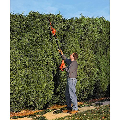 BLACK+DECKER 20V MAX Cordless Hedge Trimmer, 18-Inch, Tool Only (LPHT120B)