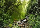 Lieferung gerollt LYSCO XXL Poster 100 x 70cm (S-832) grüner Dschungel Urwald mit Bachlauf über Steine fliessendes Wasser grüne Bäume (Lieferung gerollt!)