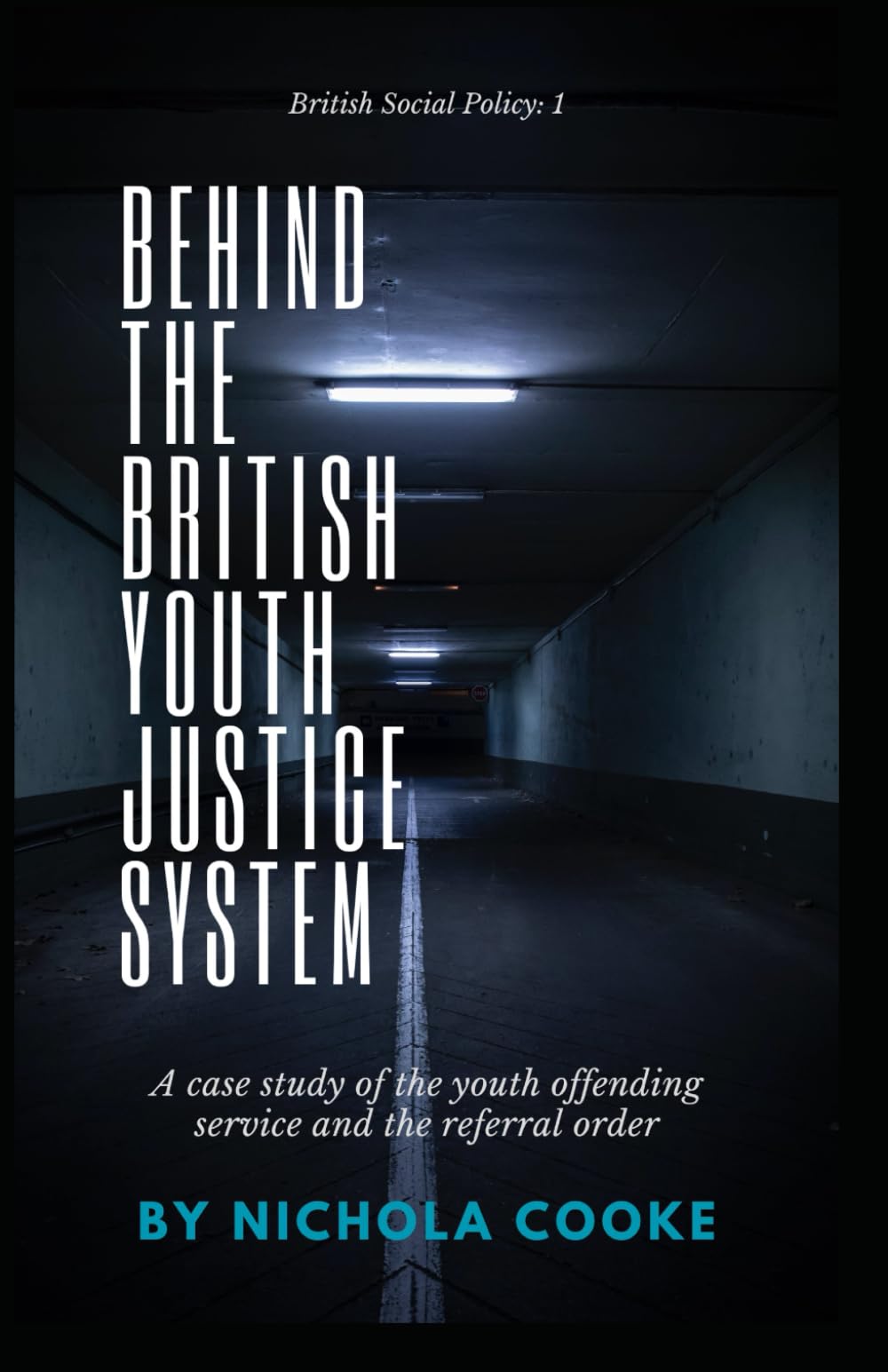Behind The British Youth Justice System: A case study of the youth offending service and the referral order