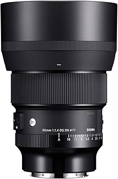 Amazon.com : Sigma 85mm F1.4 DG DN, for L-Mount : Electronics Amazon.com : Sigma 85mm F1.4 DG DN, for L-Mount : Electronics