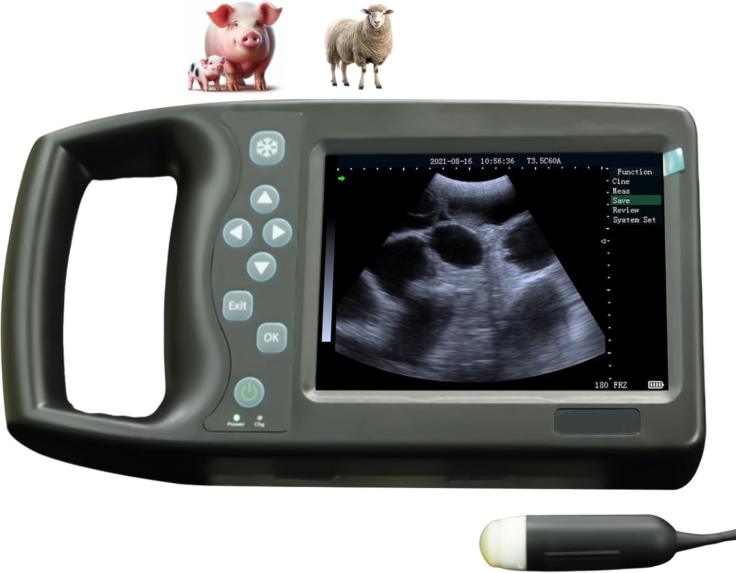 éChographe VéTéRinaire Portable éCran LED 5,7" pour Les Porcs, Les Ovins Et Les Caprins en Gestation. éChographe VéTéRinaire Portable avec Sonde MéCanique