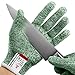 NoCry Cut Resistant Gloves - High Performance Level 5 Protection, Food Grade. Green, Size Medium