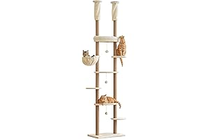 Cat Tree, Floor-to-Ceiling Masterpiece: The Ultimate Climbing Adventure