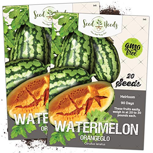 Seed Needs, Orangeglo Watermelon Seeds - 20 Heirloom Seeds for Planting Citrullus lanatus - Delicious Orange Fruits to Grow in The Summer Months (1 Pack)