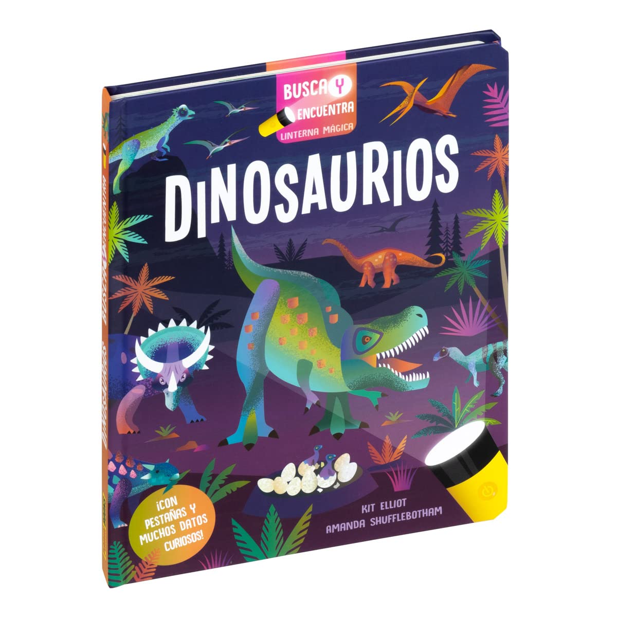 Idée cadeau anniversaire cherche et trouve dinosaures lampe magique