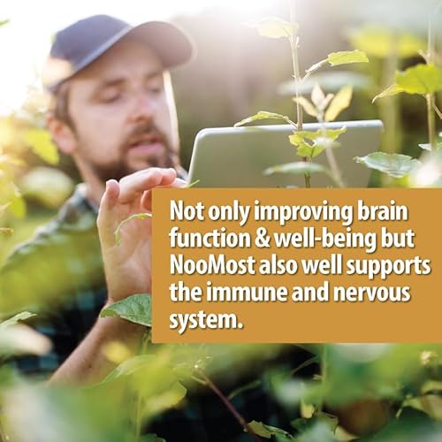 Noomost NT-MUSHROOM Organic Lions Mane Supplement Capsules 5400Mg, Ginkgo Biloba 120Mg thumb #5