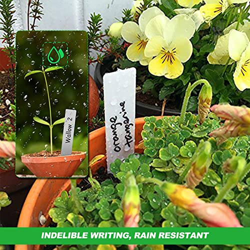 200 Stk Pflanzenschilder zum Beschriften Plastik Pflanzschilder für Draussen Wetterfest Pflanzenstecker Gartenschilder - 10x2CM