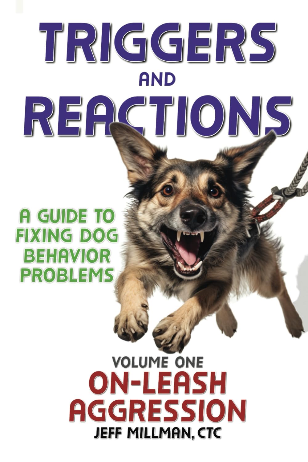 Triggers and Reactions: A Guide to Fixing Dog Behavior Problems: Volume One: On Leash Aggression: 1