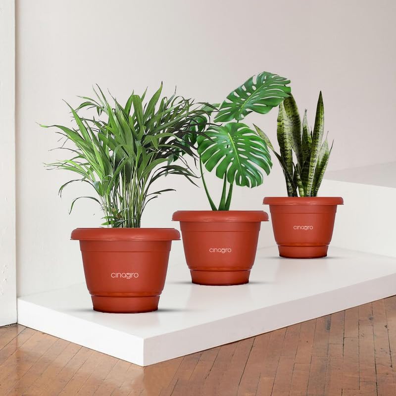CINAGRO Plastic Round Pot, 6 inch - Pack of 3, Fits 5.5 inch Bottom Tray, Gamla Pot, UV Protected Planter, Heavy-Duty, Durable Plant Container, Gamla for Indoor Home Decor & Outdoor Garden