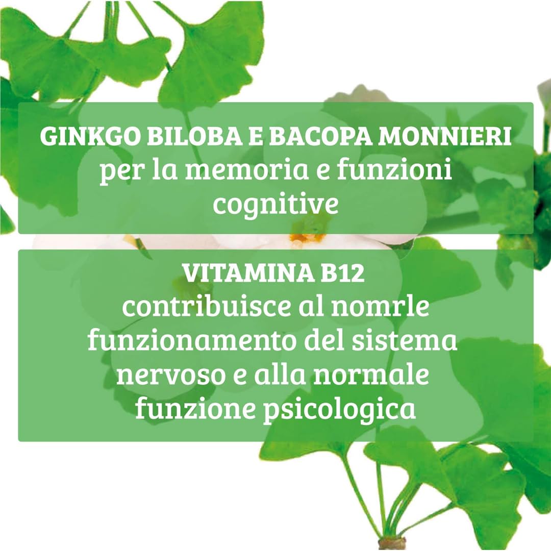 Colours of Life Ginkgo Biloba Plus - Integratore di Ginkgo Biloba - Supporto delle Capacità Cognitive, della Memoria e dell'Apprendimento, Riduce lo Stress Fisico e Mentale - Senza Glutine e Vegano, 6
