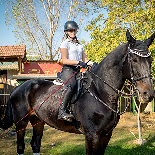 Horse Lunge Whip Training Stick And Whip 5.9 Feet Long Whip+6.3 Feet Drop For Dogs Horses(Can Detachable Into Two Sections) (Red) #TOP6