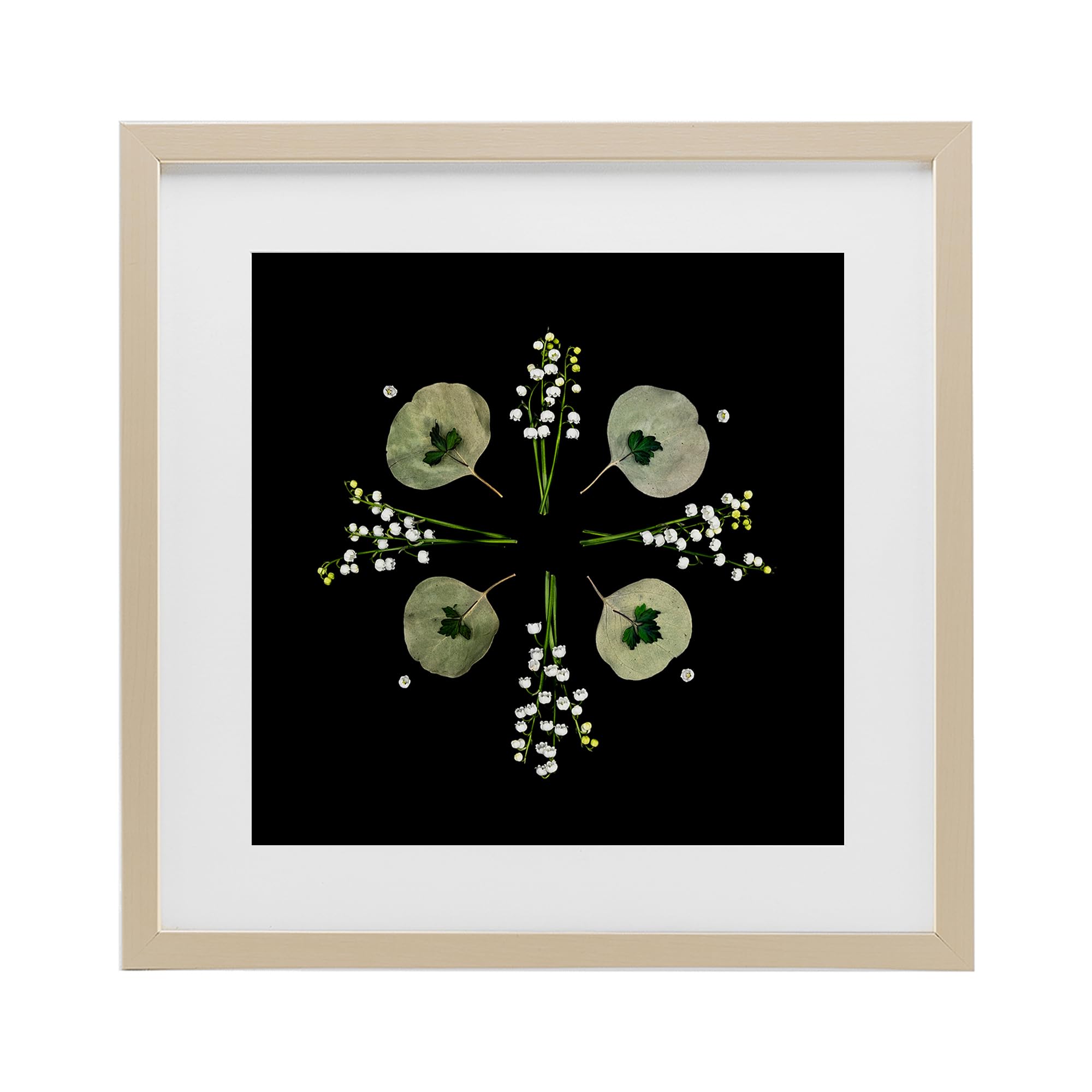 Stupell Industries Harvest Pine (Textured) 'Leaves & Wildflowers On Black'| Framed Print Under Glass