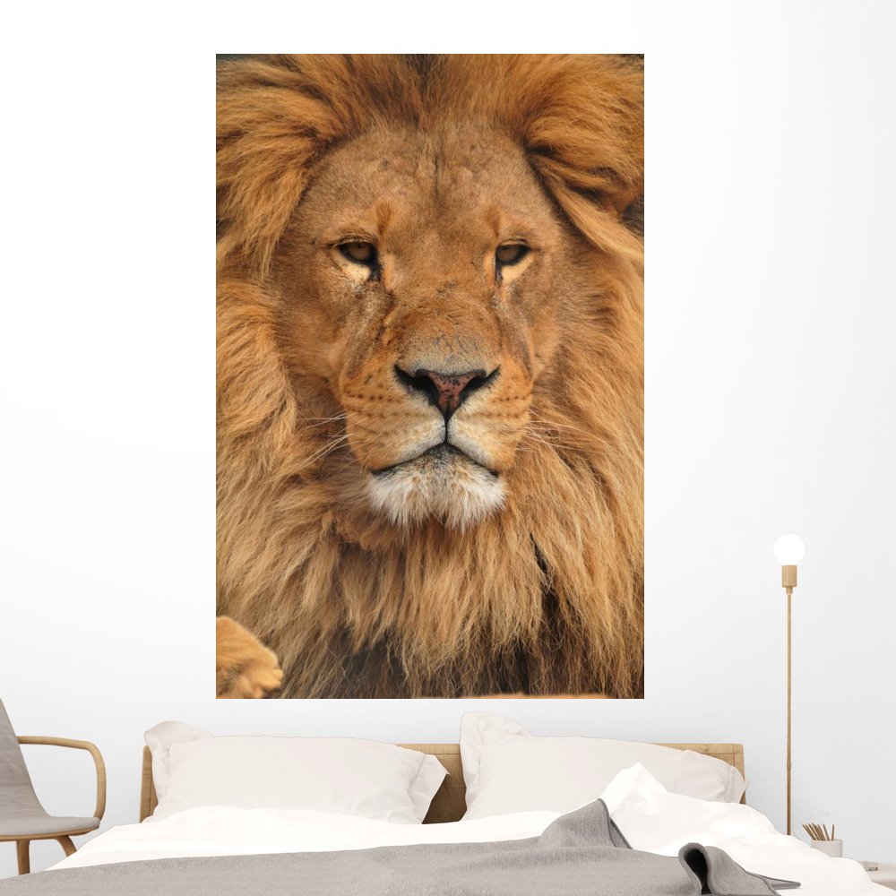 Amazon.com: Wallmonkeys Lion Face Wall Mural Peel and Stick