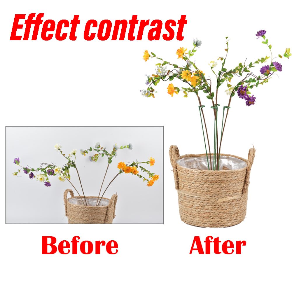 Plant Support Sticks - Grow Climbing Flowers -3
