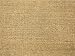 Produktbild HEVO® Sisal Naturfaser Kollektion - Salsa Sisal Teppichboden Muster in 6 Farben - Inkl. 2% Bestellgutschein Honig