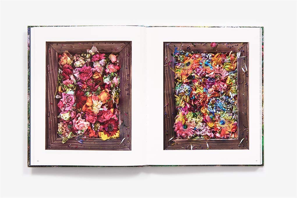 Flowers for Lisa: A Delirium of Photographic Invention
