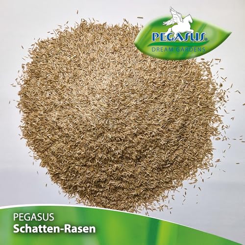 Pegasus Schatten-Rasensamen, 1 kg für 25qm, 622388 – Schattenrasen für dichte Rasenteppiche, schnellkeimend, ideal für schattige Lagen, langlebig, Rasensaat