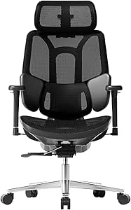 Hbada E3 Air Chaise de Bureau Ergonomique Fauteuil de Bureau - Soutien Lombaire Dynamique 3 Zones, Appui-Tête 3D Réglable, Accoudoirs 3D Réglables, Pivotant sans Repose-Pieds, Noir