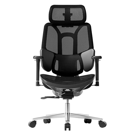 Hbada E3 Air Ergonomic Office Chair with Dynamic Lumbar Support, 3D Adjustable Headrest for Home Office Chair, 3D Adjustable Armrests Desk Chair, Swivel Big and Tall Computer Chair, Black