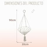 Ver la foto 2