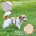 LiebeDD Hundegeschirr für Kleine Mittelgroße Hunde Welpen Geschirr, Anti Zug Geschirr Hund Sicherheitsgeschirr Ausbruchsicher, Panikgeschirr für Hunde Zuggeschirr Hund, Beige, S