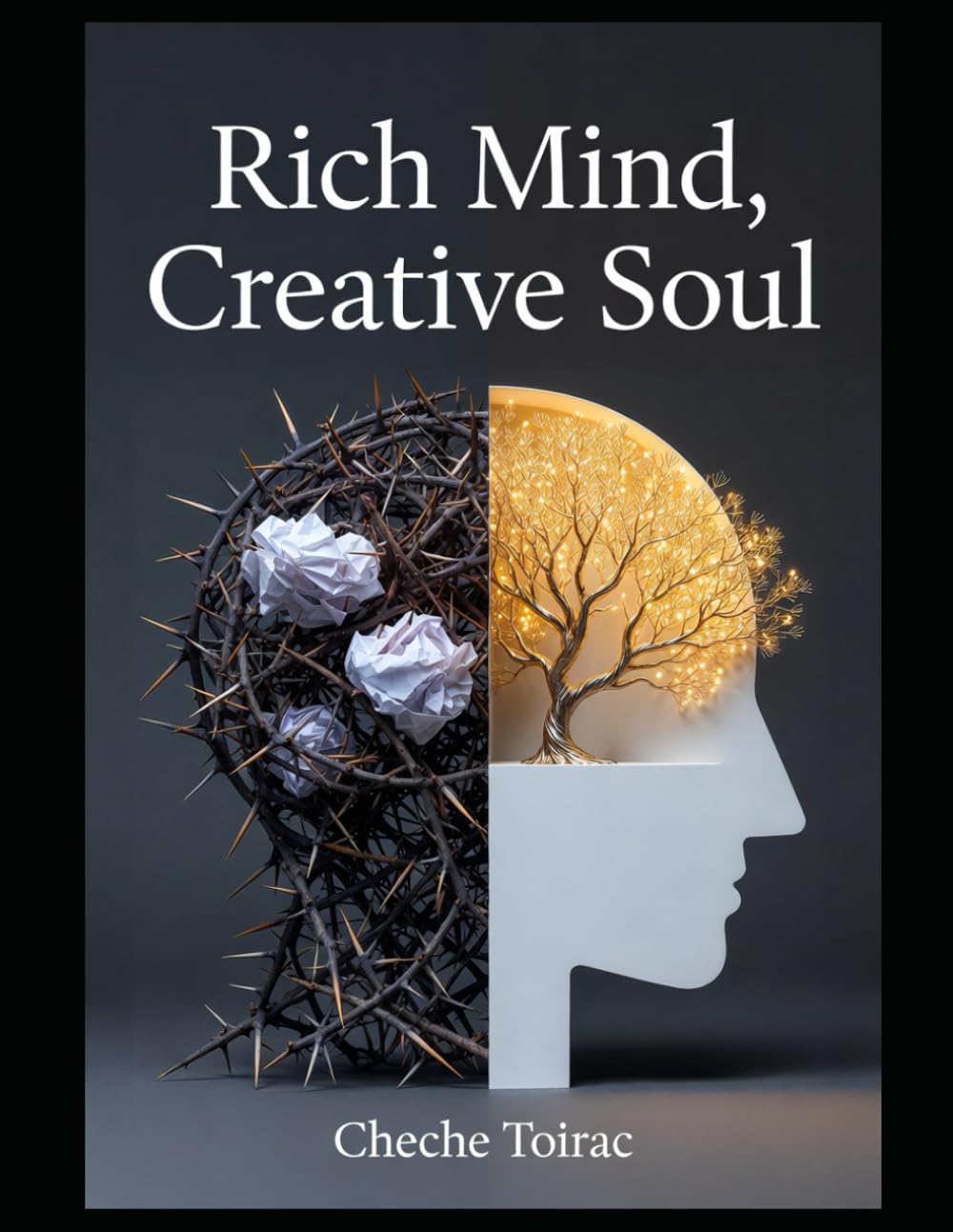 Rich Mind, Creative Soul