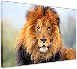 Płótno sztuka ścienna zdjęcia król dżungla męski afrykański lew wydruki dekoracja pokoju zwierzęta dom sztuka natura zdjęcia