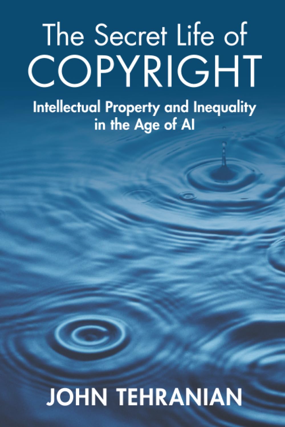 The Secret Life of Copyright - 9781009347013