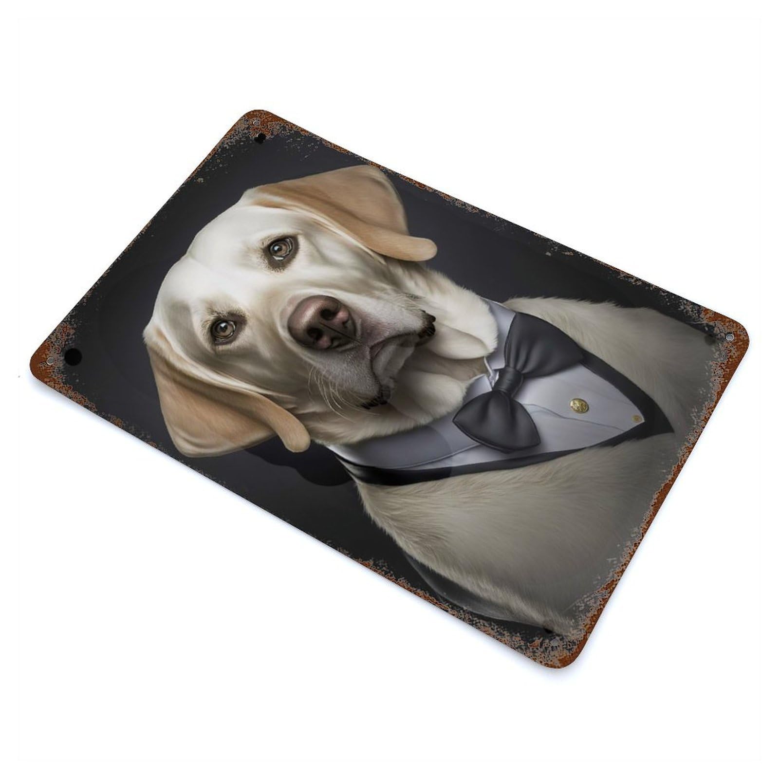 Well Dressed Labrador 32 Decorative Tin Sign 11.8"x7.9", for Bistro, Counter And Cafe Decor, Classic Wall Plaque