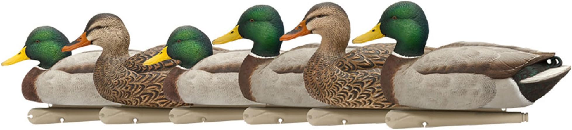Avian-XTopflight Open Water Duck Durable Realistic Hunting Floating Mallard Decoys, Pack of 6, AVX8060