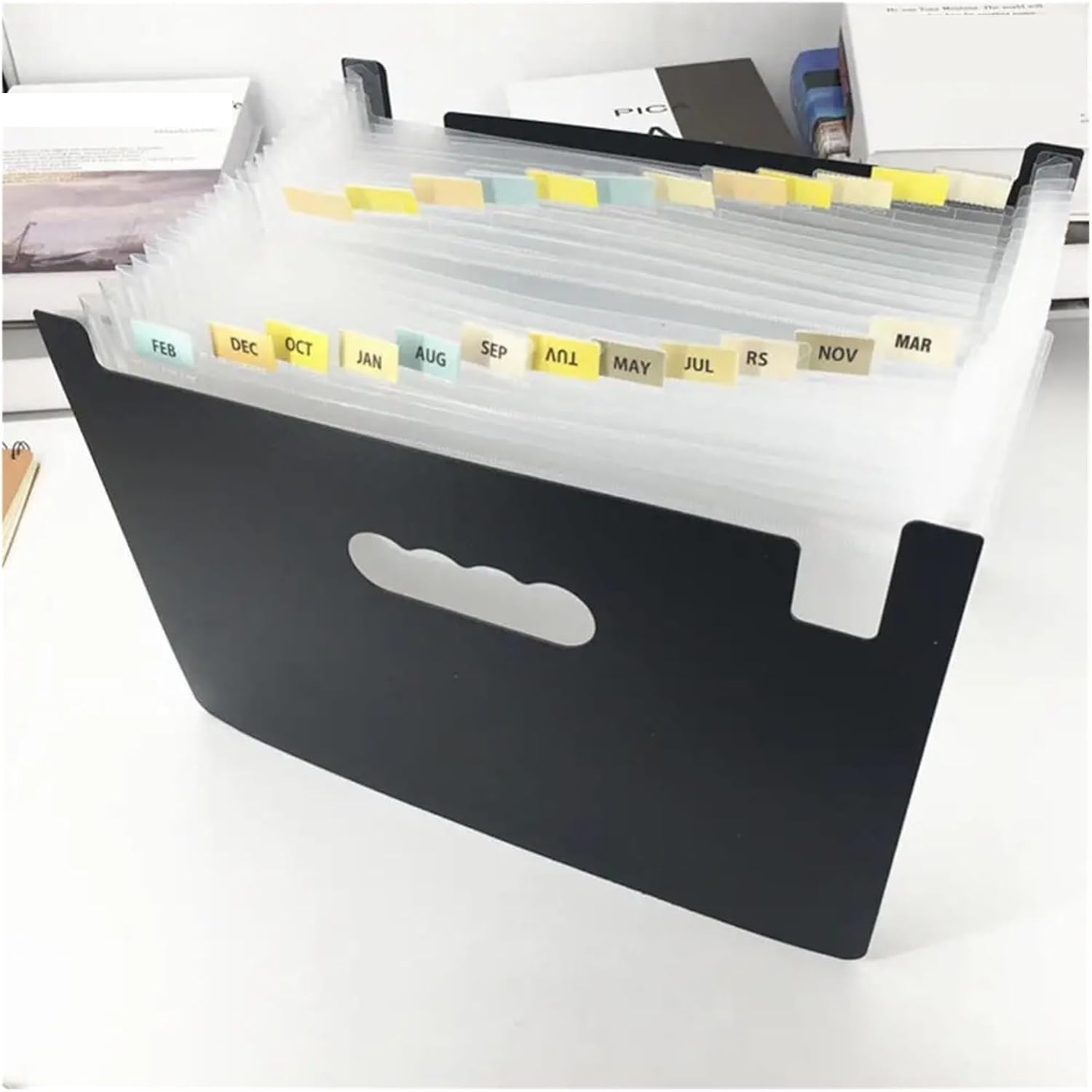 1 organiseur de documents A4