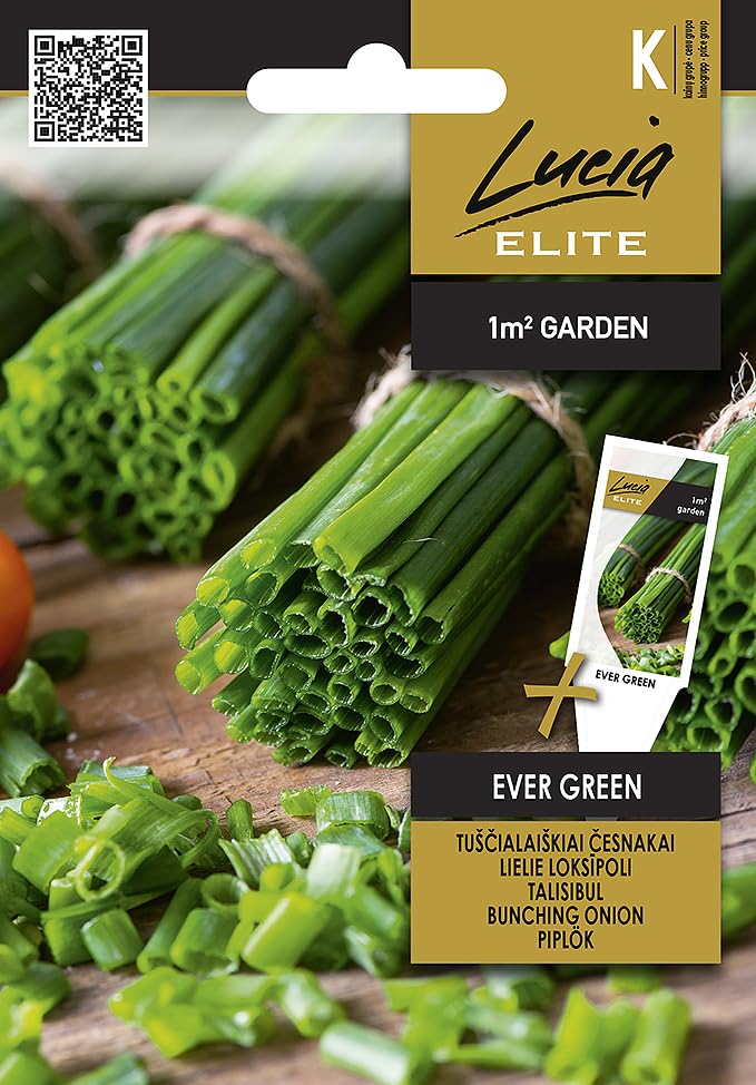 Lucia Elite | Cebolla - EVER GREEN Semillas de huerto | Cebolla perenne | Precoz y rústica | Hojas verde oscuro sin bulbo | Cosecha primavera-otoño | 1 sobre