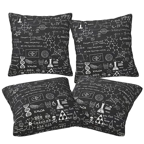 Housse de coussin BAFAFA pour rajeunir un canapé fatigué
